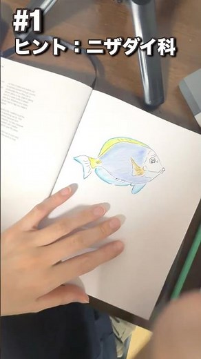 【おしゃかな図鑑#1】#アート #fish #イラストメイキング #イラスト #art #魚 #色鉛筆