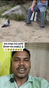 8.4K views · 128 reactions | Kabutar ka kaise design kara hai dekhiae bhai ne kab tak batana Dal raha hai duplicate computer kaise original #kyatechnology #NFLNews #houseforsale #trendingreelsvideo #facebookpost #videosvirales | Maheswar Swain | Facebook