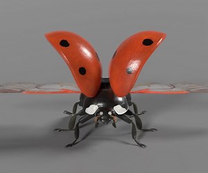 ArtStation - 3D Animal | Ladybug Animated | Resources