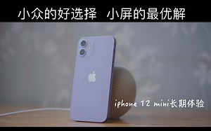 「主观」小众的最优解——iPhone 12 mini深度使用体验【Tony小向说】