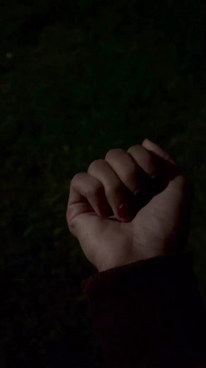 Captivating Fireflies: Dreams Come True in Texas