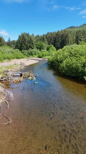 Book your Alaska Fishing Vacation at Bear Track Inn for some of the best river fishing around. August and September fishing is the best for hard hitting Salmon! Book now for best availability. Www.Beartrackinn.com #fishing #salmon #dollyvarden #packages #wildlifeonearth #beartrackinn #awardwinning #Alaska #lodge #alaskadaily #vacation #bestfood #LodgeLife | Glacier Bay's Bear Track Inn