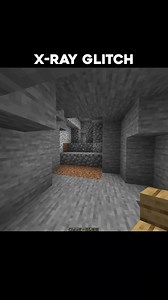 Minecraft : X-Ray Glitch☠️ #minecraft #minecraftmemes #minecraftbuilds #fbreels #everyonefollowers #mojang | Steve Craft