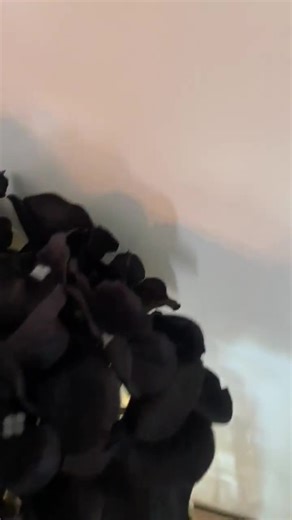 Lighted Mason Jar Centerpiece Black Wedding Centerpieces Black Party Decor, Lighted Mason Jar Decor Event Centerpieces Fairy Light Mason Jar - Etsy