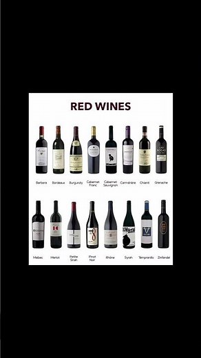 Types of Red Wines 🍷 Merlot, Cabernet, Pinot Noir & More | #RedWine #WineLovers #Shorts