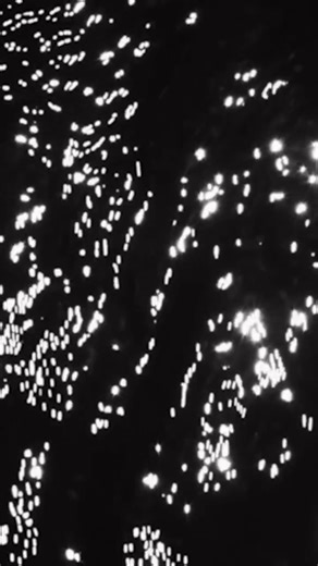 BBFF2023 | OFFICIAL SELECTION | WORLD PREMIERE | EXPERIMENTAL...