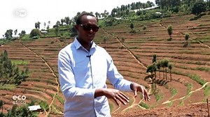 19K views · 217 reactions | HOW RWANDA IS HELPING ITS FARMERS THROUGH TOUGH CLIMATE TIMES A project in Rwanda aims to help farmers adapt to climate change by teaching them how to restore terrains and use different crops. It is already showing results in the rugged hills of the country's Northern Province. | East Africa Daily | Facebook