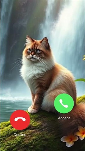 Feline's Calling – Answer Meow!" #cat​​​​​​ #cutecat​​​​​​ #shorts​​​​​​