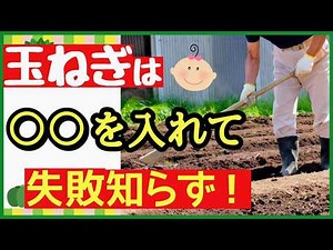 All you need to do to grow onions is add "that"! The ultimate soil preparation method for increas...