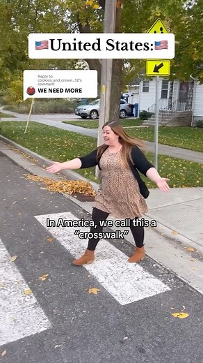 9.4M views · 10K reactions | Zebra crossings, pelican crossings, puffin crossings, toucan crossings… what are they called where you live??  #unitedkingdom #unitedstates #uk #usa #ukvsusa #british #american #crosswalk #zebracrossing #words #phrases #funny #humor #funnyvideo | Amber Kacherian | Facebook