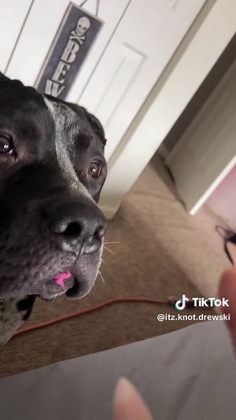 drewski (@itz.knot.drewski)’s videos with original sound - drewski