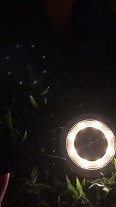 Watch Solar ground lights on Amazon Live