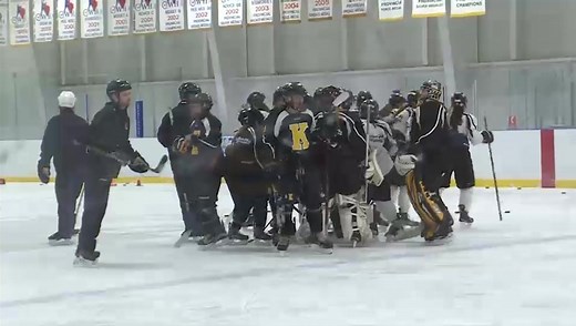 Kingston Ice Wolves are off to howling start in the PWHL