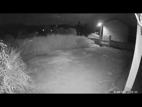 ​The Silent Yard​ – October 18, 2025