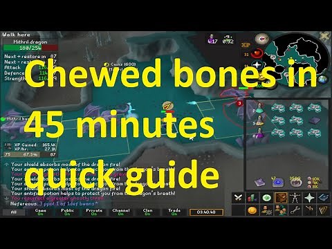 Chewed Bones Quick Guide (Ironman friendly)
