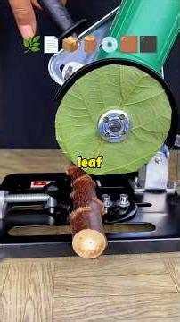 Almost Anyone Can Cut this Wood!
