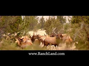 Oregon Hunting Land for Sale - North Ochoco Ranch | Mason & Morse Ranch Company