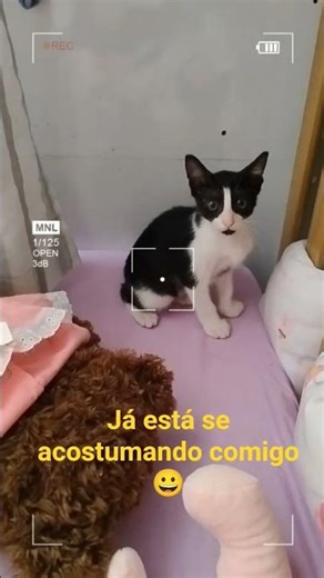 Coloquei o nome dele de Chico 😀