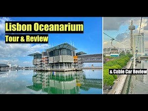 Lisbon Oceanarium - Tour & Review