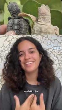 anomalias nos ovos de tartaruga: o que acontece lá dentro? 🐢🥚🧐