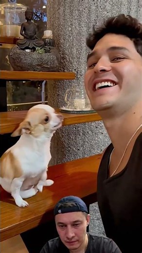 These Dogs' Reactions to Kisses Will Melt Your Heart ❤️❤️ #dog #shorts #doglove #funny #funnyvideos