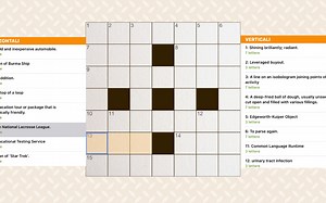 Crossword |英语填字游戏