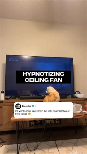 Vine energy 😭 [🎥: via/ ginadexter_04] | Complex