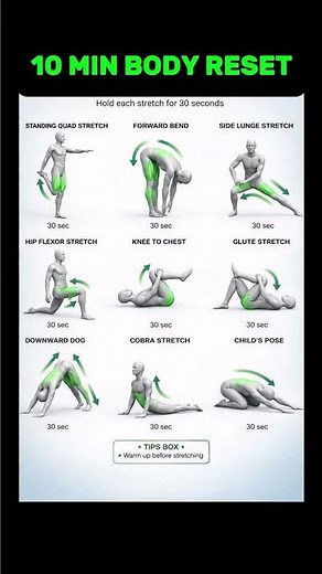 10 Minute Full Body Stretch Routine (Do This Every Day!)