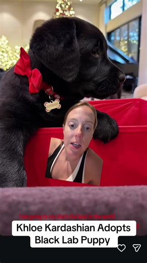 #greenscreen #kardashians #celebritynews #celebritynews | Khloekardashian