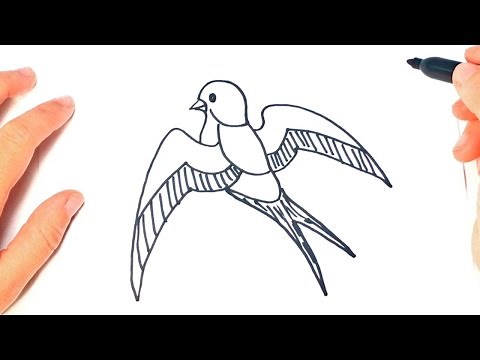 How to draw a Swallow Step by Step