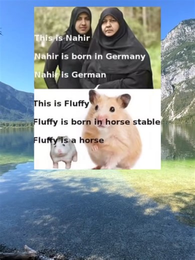 #nature #viralvideos #tik_tok #fyp #germany #based