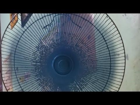 ASMR Fan Noise Live — Deep Sleep & Relaxation | No Talking