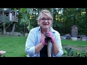 Growing Radishes in the Fall Garden. New England Fall Gardening