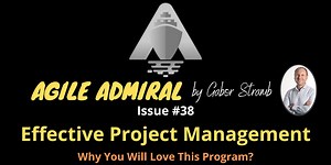 Effective Project Management