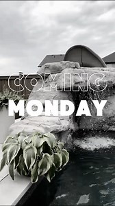 5.9K views · 37 reactions | See how we built this poolside grotto for a wonderful family! Coming to YouTube tomorrow @ 11 am EST! #grotto #poolgrotto #pool #pools #epicpool #poolbuild #build #construction #backyard #transformation #rockgrotto #artificialrock #fauxrock #fakerock #rockreplica #decorativeconcrete #concrete | Rockscapes | Facebook