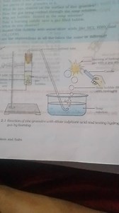 Observations and Explanation of the Reaction of Zinc with Acids... | Filo