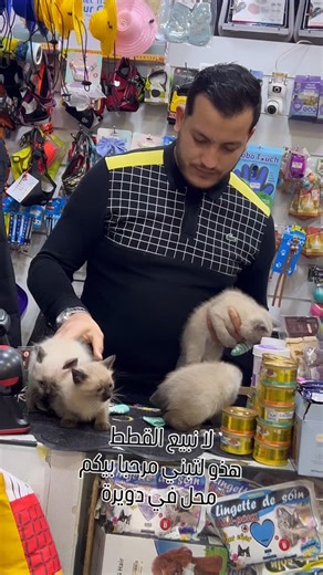 😍Magic_zoo😍 on Instagram‎: "#ابوني_لاباج🥀_باش_يوصلك_جديد❤️ #عالم_القطط #شحال_تستاهل_من_قلب❤️ #مرحبا_بالجميع #ابوني_ياك_باطل_ولا_حنا_مانستاهلوش❤️❤️"‎