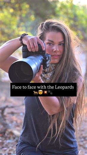 Hannah Stitfall | Wildlife Filmmaker | Wildlife filmmaking with the leopards 🐆🐾💥 The last shot I thought she was going to jump in the vehicle! 🤯 Some of my favourite shots with... | Instagram