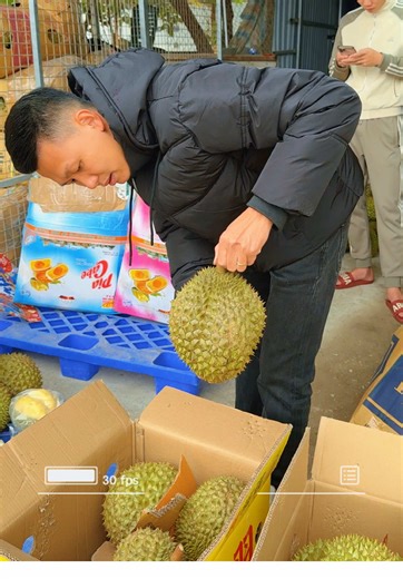 Sầu Về Thêm Tại Bãi 86 Hà Nội #duythuong #saurieng