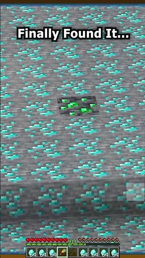 Minecraft Rarest Block meme