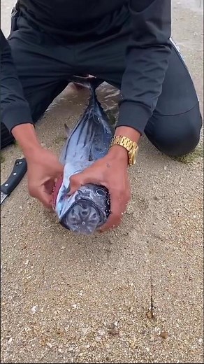 Alien-Like Deep Sea Fish Found on Beach 😱🐟 | Rare Ocean Creature Discovery