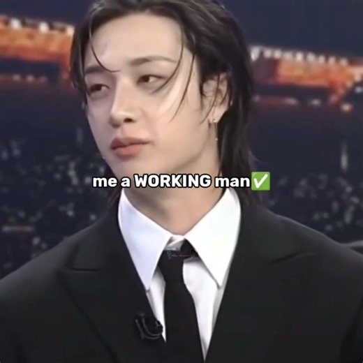 BiRkIn BaG-#skz #straykids #kpop #felix #bangchan #trending #fypage #noflop #fypviralシ #skzmeme