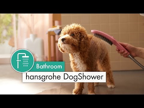 hansgrohe DogShower