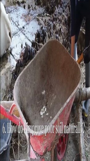 Fix Your Soil! Compacted, Clay & Poor Soil Solutions
