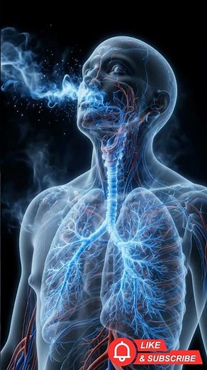 😨 Respiratory System: You Breathe Thousands of Times… Without Thinking
