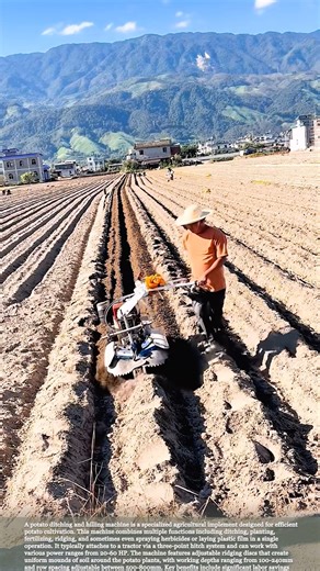 Potato Planting Made Easy: Ditching and Hilling Machine Demo #relaxing #satisfying #farming