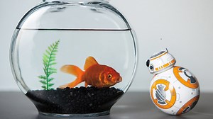 Star Wars BB-8 Droid toy now available