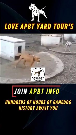 Historic APBT Kennels Revealed | Gamedog Yard Tour Series & PitBull Dog History