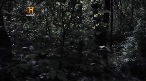 14K views · 492 reactions | A inquisição Documentário History Channel Brasil | Documentarios | Facebook