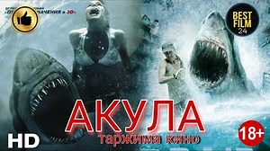 "АКУЛА" ЯНГИ УЗБЕК ТАРЖИМА КИНО ЛАР BESTFILM 24 ДА
